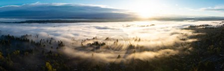 Frühmorgendliches Sonnenlicht erhellt den Nebel, der sich im Willamette Valley im nördlichen Oregon, nicht weit südlich von Portland, niedergelassen hat. Der gesamte pazifische Nordwesten ist für sein feuchtes, gemäßigtes Klima bekannt.