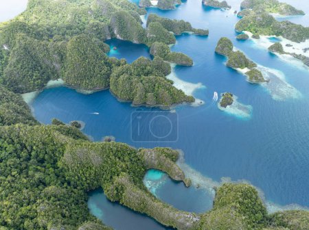 Foto de Las islas de piedra caliza, bordeadas por arrecifes, surgen del paisaje marino tropical de Raja Ampat. Esta región de Indonesia es conocida como el corazón del Triángulo del Coral debido a la alta biodiversidad marina que se encuentra allí. - Imagen libre de derechos