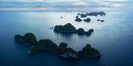 Las islas de piedra caliza, bordeadas por arrecifes, surgen del paisaje marino tropical de Raja Ampat. Esta región de Indonesia es conocida como el corazón del Triángulo del Coral debido a la alta biodiversidad marina que se encuentra allí.