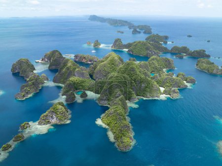 Las islas de piedra caliza de Balbalol, bordeadas por arrecifes, surgen del paisaje marino tropical de Raja Ampat. Esta región es conocida como el corazón del Triángulo del Coral debido a la alta biodiversidad marina que se encuentra allí.