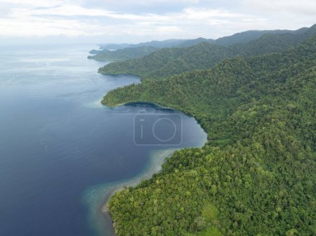 Dichter Regenwald bedeckt die malerische Küste des südlichen Batanta, Raja Ampat. Diese Region ist aufgrund der hohen Artenvielfalt im Meer als das Herz des Korallendreiecks bekannt..