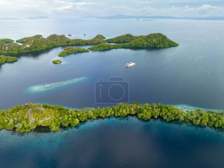 The scenic limestone islands of Pef, fringed by reef, rise from Raja Ampat's tropical seascape. This part of Indonesia is known as the heart of the Coral Triangle due its high marine biodiversity.