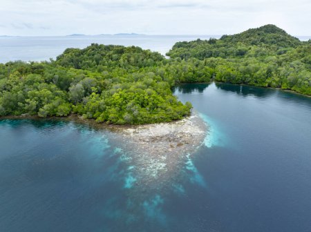 Flache, gesunde Korallen gedeihen am Rande eines Mangrovenwaldes in Raja Ampat, Indonesien. Diese Region beherbergt viele Mangroven, die Lebensraum für viele Fischarten und wirbellose Tiere bieten.
