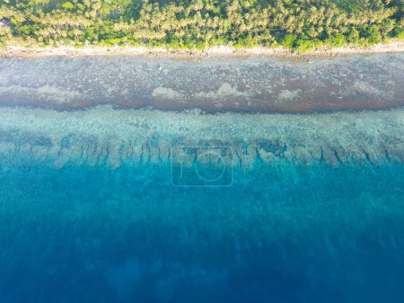 Ruhiges, klares Wasser umspült die malerische Küste einer abgelegenen Insel auf den Vergessenen Inseln im Osten Indonesiens. Diese wunderschöne Region beherbergt eine außergewöhnliche marine Biodiversität.
