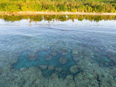Ruhiges, klares Wasser umspült die malerische Küste einer abgelegenen Insel auf den Vergessenen Inseln im Osten Indonesiens. Diese wunderschöne Region beherbergt eine außergewöhnliche marine Biodiversität.