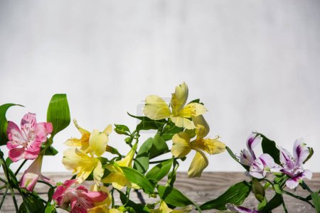 Téléchargez les photos : Arrangement floral avec de délicates fleurs de lys Inca. Fond grunge léger, place pour le texte. Composition des fleurs. - en image libre de droit