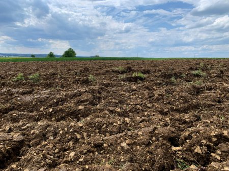 A plowed field stretches into the distance under a cloudy blue sky. The soil is freshly turned, ready for planting, while the clouds overhead create a dramatic backdrop.