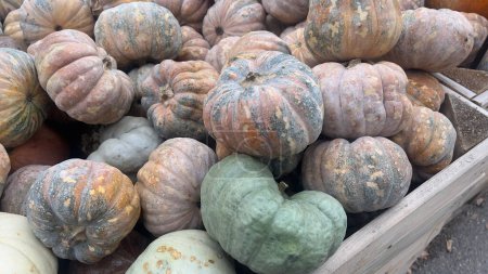 Téléchargez les photos : Une collection de diverses citrouilles colorées dans une caisse en bois à un marché d'automne. - en image libre de droit