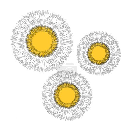 Illustration for Vector drawing, dandelion on a white isolated background. Outline drawing, lines. Flowers from outlines. Yellow flowers. - Royalty Free Image