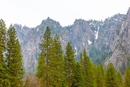 Foto de Vista del Parque Nacional Valle de Yosemite - Imagen libre de derechos