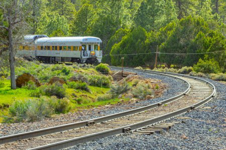 Foto de Parque Nacional del Gran Cañón, Arizona, Estados Unidos - 26 de abril de 2021 - Vista de un tren en el ferrocarril del Parque Nacional del Gran Cañón con el telón de fondo de un bosque de pinos, valle verde. Tren del Gran Cañón - Imagen libre de derechos