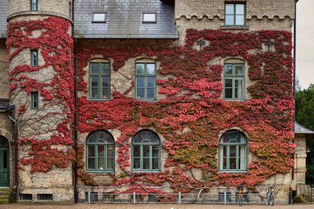Representación de otoño sueca con una hiedra trepadora roja en la sombría fachada del castillo con bicicletas estacionadas en el frente. Exterior de castillo de otoño cubierto por planta trepadora hedera roja muestra un estilo de vida escandinavo