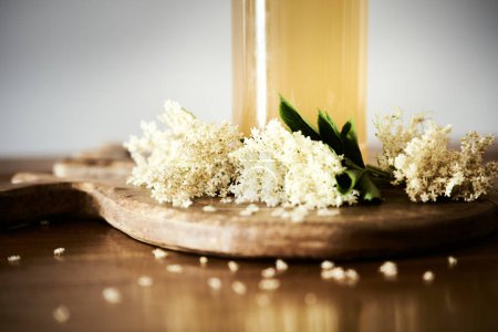 Fresh homemade elderflower cordial closeup with small white flowers and a bottle detail with the sweet drink. Sugary spring aroma or vibes with elderberry flowers beverage or syrup on wooden table