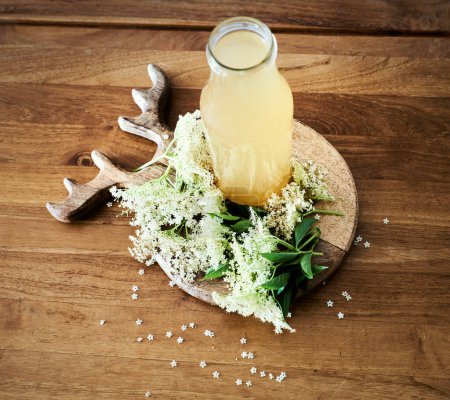 Photo for Bottle of elderflower cordial surrounded by white elderflowers or little elderberry flowers. Top view of elder flower spring drink, typical in nordic countries during spring time - Royalty Free Image