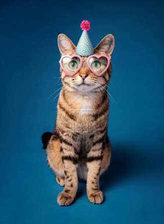 Photo for Happy Funny Party Cat with birthday hat and heart shaped sunglasses on a blue background. - Royalty Free Image