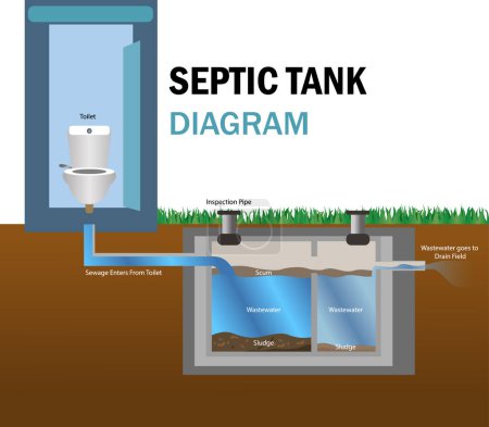 Illustration for Septic Tank diagram vector illustration, toilet septic tank system illustration, home sewage treatment system., waste water, Infographic of a Septic Tank system, drain field - Royalty Free Image