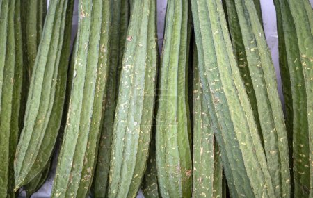 Gambas frais, gourdes anglaises ou luffa acutangula, également connu sous le nom de gourdes éponge.