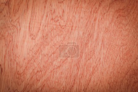 Photo for The brown surface wooden texture background - Royalty Free Image