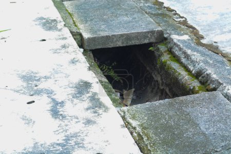Drain covers have gone missing, possibly stolen from the roadside, leaving open hazards that pose risks to motorists and pedestrians.