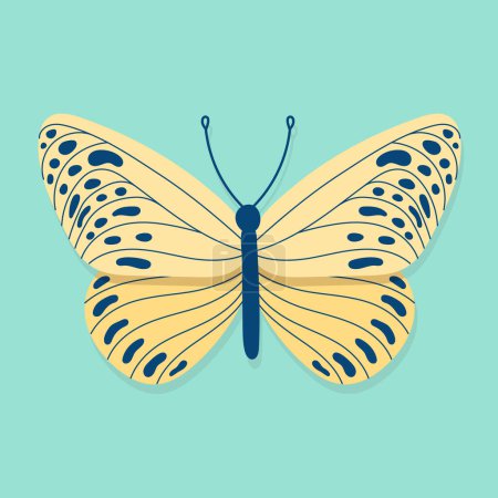 Illustration for Yellow and blue butterfly. Top view. Spring inspiration. Vector illustration, flat design - Royalty Free Image