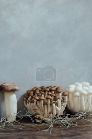 Téléchargez les photos : Various edible Asian mushrooms. Enoki, shimeji, shiitake, tea tree, royal oyster mushrooms. Set of vegetables. Dark photo natural light. Selective focus. - en image libre de droit