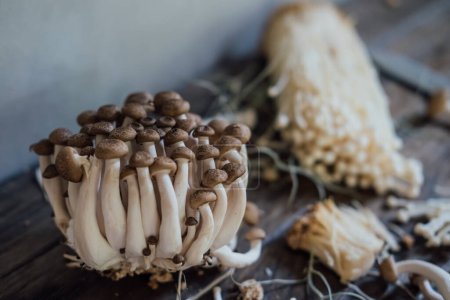 Téléchargez les photos : Various edible Asian mushrooms. Enoki, shimeji, shiitake, tea tree, royal oyster mushrooms. Set of vegetables. Dark photo natural light. Selective focus. - en image libre de droit