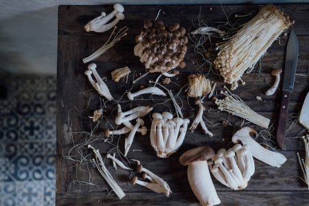 Téléchargez les photos : Various edible Asian mushrooms. Enoki, shimeji, shiitake, tea tree, royal oyster mushrooms. Set of vegetables. Dark photo natural light. Flatly. Selective focus - en image libre de droit
