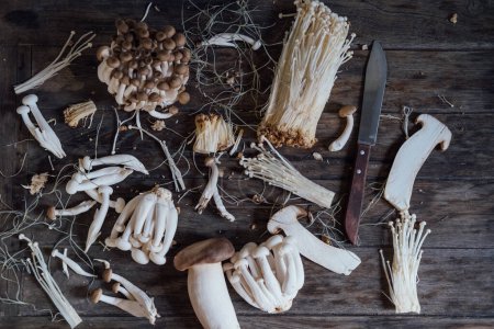 Téléchargez les photos : Various edible Asian mushrooms. Enoki, shimeji, shiitake, tea tree, royal oyster mushrooms. Set of vegetables. Dark photo natural light. - en image libre de droit