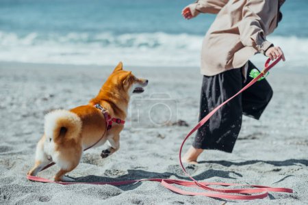 Foto de Con su leal perro a su lado mujer teniendo una explosión caminando en la playa. - Imagen libre de derechos