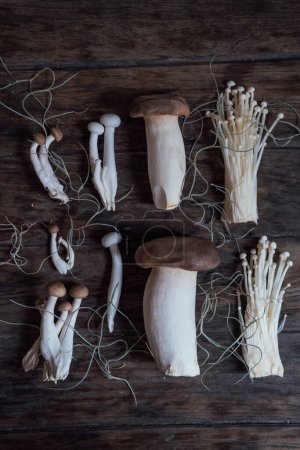 Téléchargez les photos : Various edible Asian mushrooms. Enoki, shimeji, shiitake, tea tree, royal oyster mushrooms. Set of vegetables. Dark photo natural light. - en image libre de droit