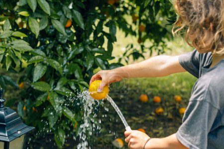 Foto de Niño niño lava una naranja con agua de una manguera en el jardín para comer fruta fresca del árbol. - Imagen libre de derechos