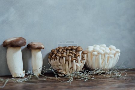 Foto de Various edible Asian mushrooms. Enoki, shimeji, shiitake, tea tree, royal oyster mushrooms. Set of vegetables. Dark photo natural light. Selective focus. - Imagen libre de derechos