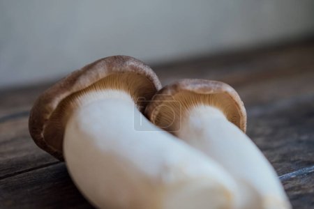 Foto de Setas asiáticas comestibles. Setas de ostras reales. Luz natural foto oscura. Enfoque selectivo - Imagen libre de derechos