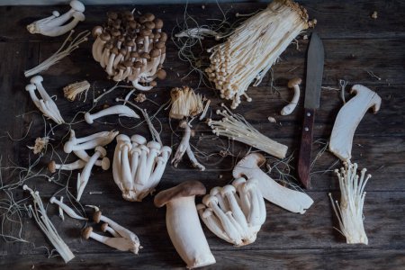 Téléchargez les photos : Various edible Asian mushrooms. Enoki, shimeji, shiitake, tea tree, royal oyster mushrooms. Set of vegetables. Dark photo natural light. Flatly. Selective focus - en image libre de droit