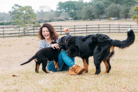 Foto de Alegre mujer adulta riendo, jugando con dos perros grandes y cachorro en un campo abierto - Imagen libre de derechos