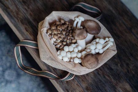 Photo for Various edible Asian mushrooms. Enoki, shimeji, shiitake, tea tree, royal oyster mushrooms. Set of vegetables. Dark photo natural light. - Royalty Free Image