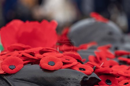 Rote Mohnblumen am Grab des unbekannten Soldaten in Ottawa, Kanada am Gedenktag