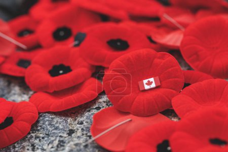 Photo for Remembrance Day red poppy flowers on Tomb of the Unknown Soldier in Ottawa, Canada - Royalty Free Image