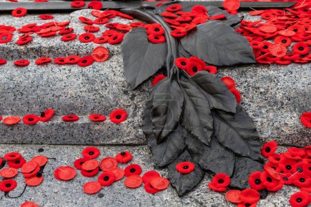 Téléchargez les photos : Fleurs de pavot rouge sur la tombe du soldat inconnu à Ottawa, Canada, le jour du Souvenir - en image libre de droit