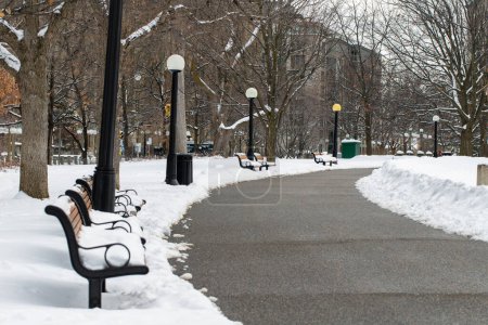 Foto de Ottawa, Canada - January 23, 2023: Road in Major's Hill Park in winter season. City park with snow in downtown - Imagen libre de derechos