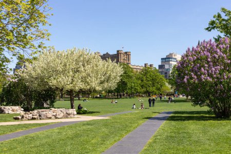 Foto de Ottawa, Canada - May 18, 2022: People in Major's Hill Park in downtown in spring with blooming trees - Imagen libre de derechos