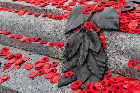 Photo for Red poppy flowers on Tomb of the Unknown Soldier in Ottawa, Canada on Remembrance Day - Royalty Free Image