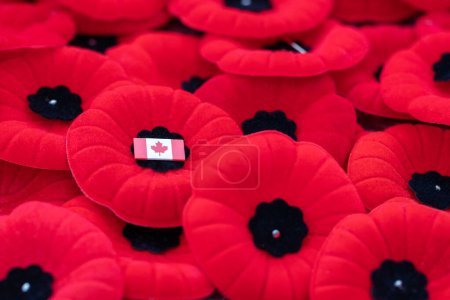 Foto de Día del Recuerdo flores de amapola roja con pequeña bandera canadiense en Ottawa, Canadá - Imagen libre de derechos