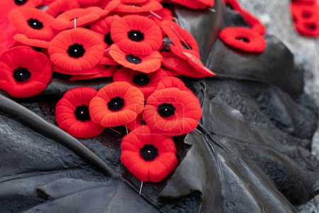 Foto de Amapolas rojas en la tumba del soldado desconocido en Ottawa, Canadá en el Día del Recuerdo - Imagen libre de derechos
