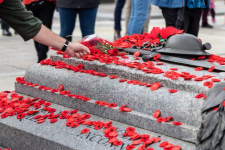 People putting poppy flowers on Tomb of the Unknown Soldier in Ottawa, Canada on Remembrance Day