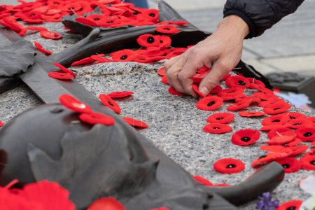 La gente puso flores de amapola en la Tumba del Soldado Desconocido en Ottawa, Canadá en el Día del Recuerdo