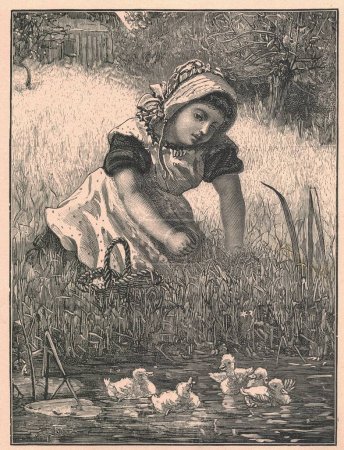 Black and white antique illustration shows a girl sitting on the bank of the river and tiny duclings. Vintage illustration the flying duck. Old picture from fairy tale book. Storybook illustration published 1910. A fairy tale, fairytale, wonder tale,