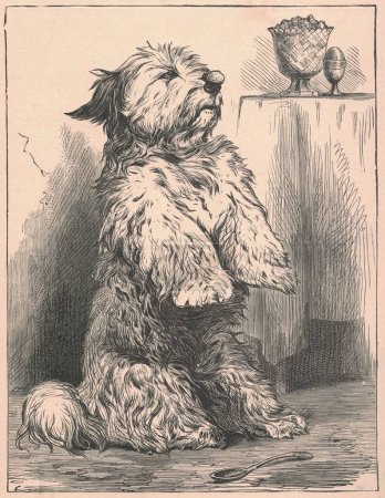 Photo for Black and white antique illustration shows a cute doge inside. Vintage drawing shows the dog that sits up on its hind legs. Old picture from fairy tale book. Storybook illustration published 1910. A fairy tale, fairytale, wonder tale, magic tale, fai - Royalty Free Image