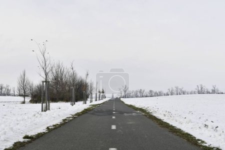 Photo for Road raked by snow plough in winter. Roads cleared by plough in winter. Concept of winter and winter road care. - Royalty Free Image