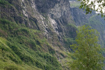 Norwegen Fjord Gebirge Natur Nahaufnahme von Felsen mit grünen Pflanzen und Bäumen auf ihnen wachsen an einem warmen Sommertag.